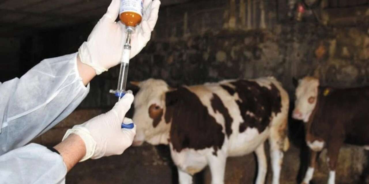 Konya’da aşılama seferberliği başladı