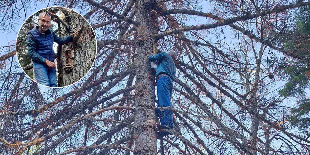 Konya’da tehlikeli av! Hiç korkmuyorlar