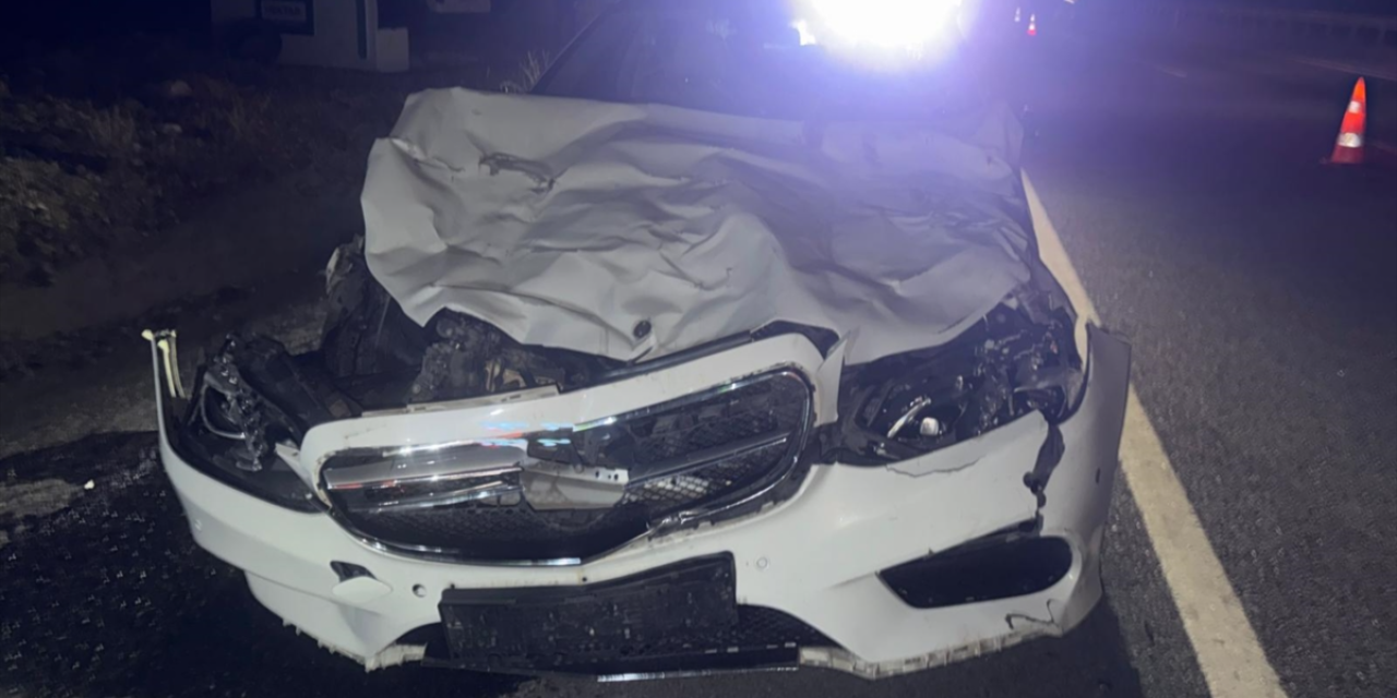 Konya’da otomobil hayvan sürüsüne daldı