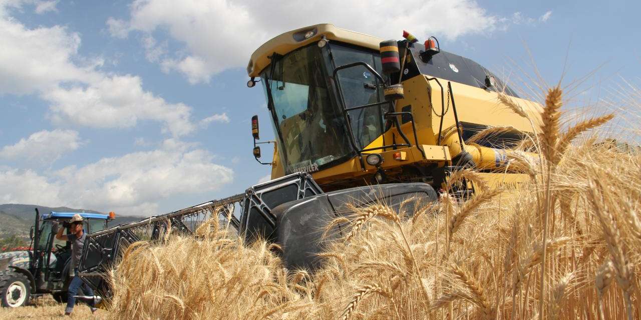 Çiftçilere müjde! Hesaplarına bugün yatırılacak