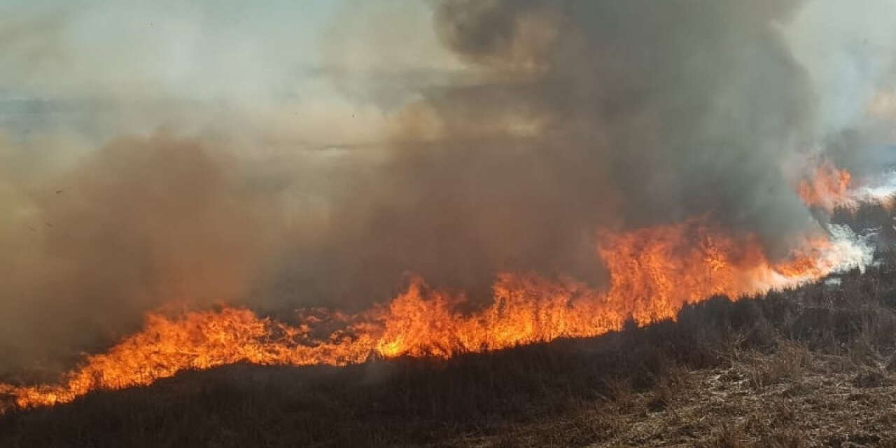 Konya’da sazlık yangını ormanlık alanı da tehdit etti