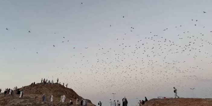 Uhud Dağı’nda Hacılara sürpriz