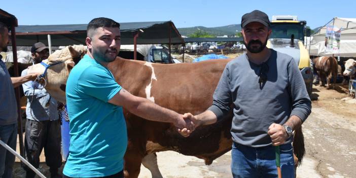 Kurban pazarının en büyüğü: Toros Kaplanı anında satıldı