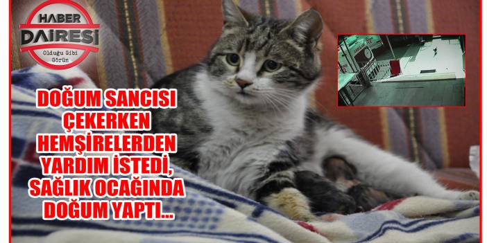 Doğum sancısı başlayınca sağlık ocağına gelip hemşirelerden yardım istedi