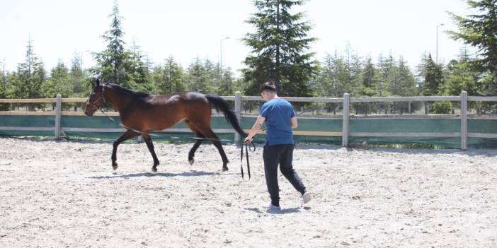 Türkiye’nin veterinerleri Konya’daki bu alanda yetişiyor