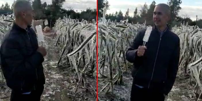 Üreticiye don şoku! Muhabir gibi anlattı: Uzaylılar gelmiş sanırım