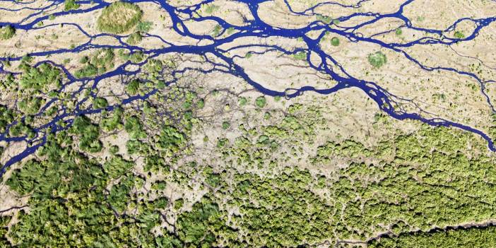 Konya’nın kuş cenneti! Su yolları ve zemin dokusu havadan görüntülendi