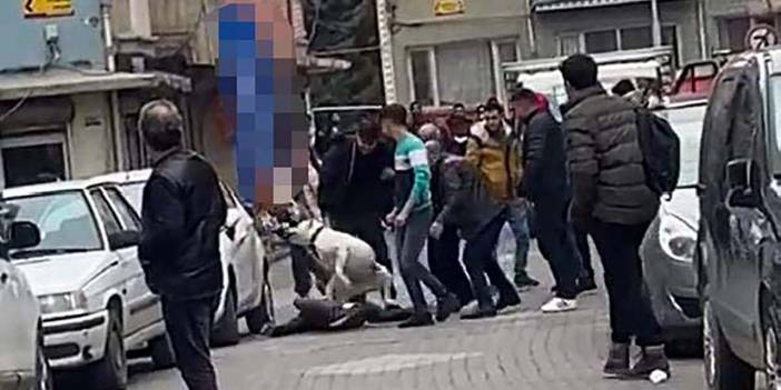 Pitbull'u silah olarak kullandılar