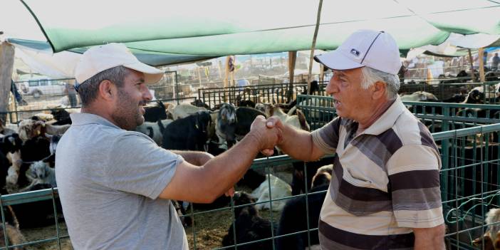 Kurban kesecekler dikkat! Cezalar belli oldu