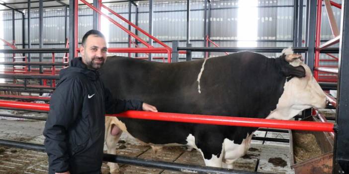 Satışa çıktı! Fiyatı da ağırlığı da ikinci el otomobil ile yarışıyor