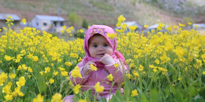 Konya’da 1850 rakımlı yayla adeta sarıya boyandı