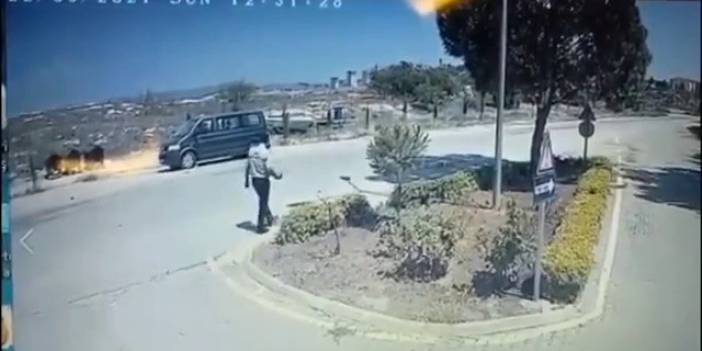 Yürek sızlatan görüntü! Güvenlik görevlisi ocakta ısıttığı sıcak suyu köpeğin üzerine döktü