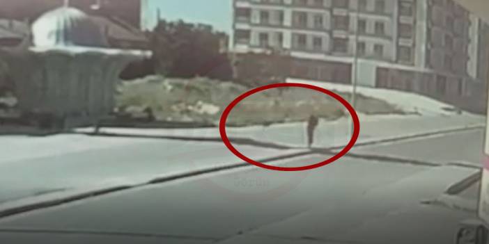 Konya’da sokak köpeklerinin saldırısına uğrayan kadın, böyle kurtuldu