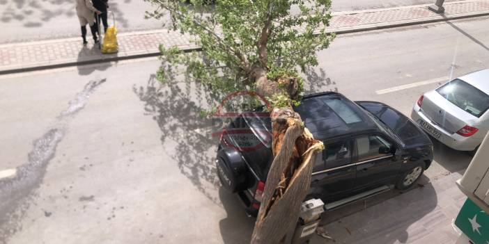 Fırtınanın vurduğu Konya’da yarın hava nasıl olacak?