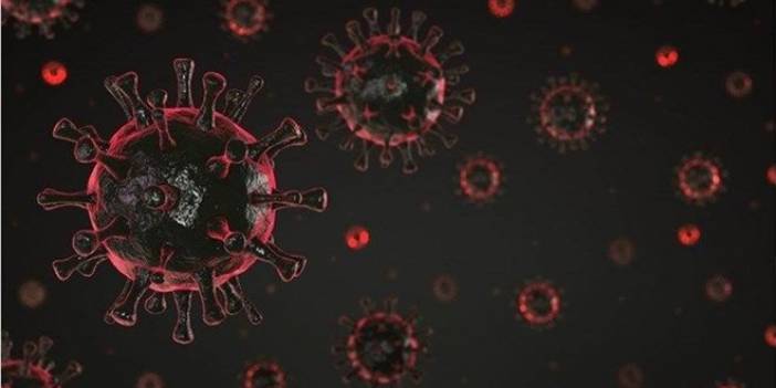 42 saniyede bugün (23 Haziran 2021)