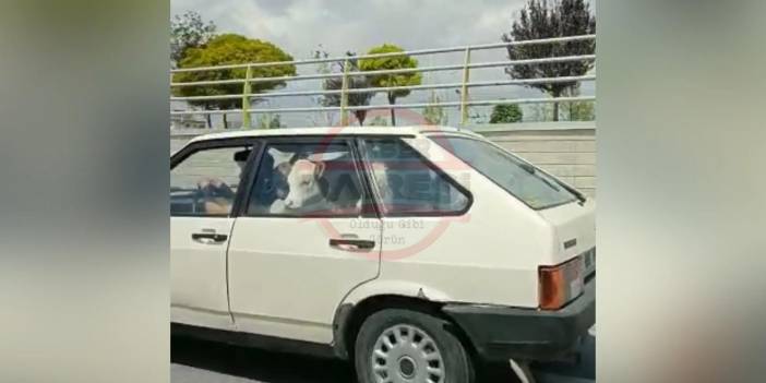 Gören telefona sarıldı! Konya trafiğinde dikkat çeken görüntü