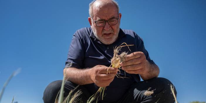 42 saniyede bugün (22 Mayıs 2021)