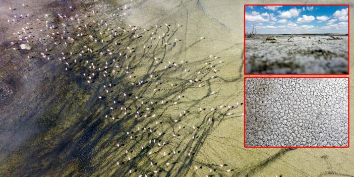 Konya’daki bu gölde kuraklık çanları! Su kıyıdan 100 metre çekildi