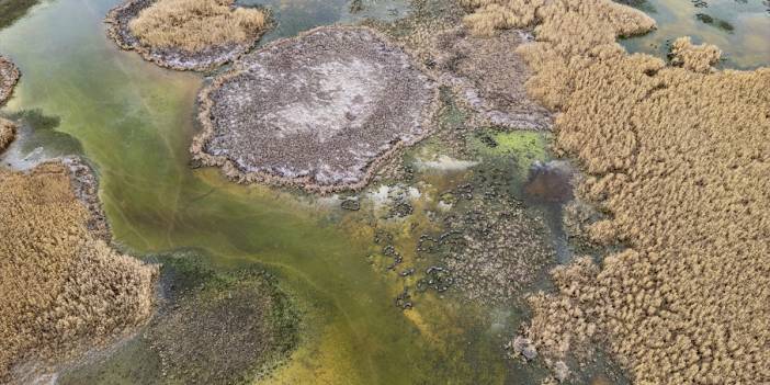 Konya’nın kuş cennetinde kış güzelliği
