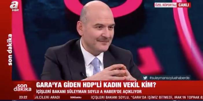 Bakan Soylu, Gara'ya giden HDP'linin kim olduğunu açıkladı