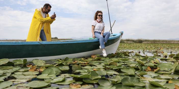 Konya’nın denizindeki nilüfer bahçesine yoğun ilgi
