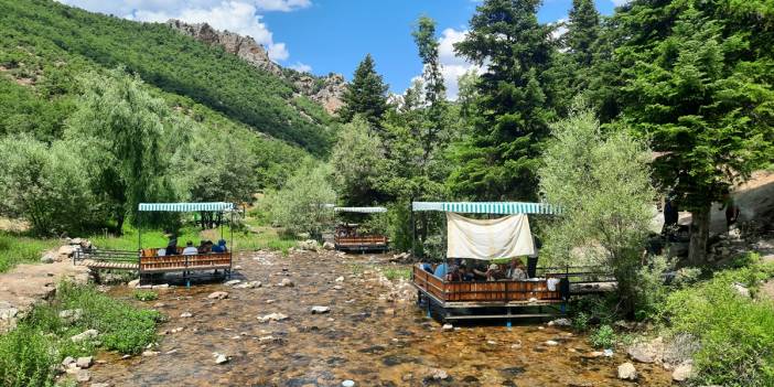 Konya’nın doğa harikası! Bu alana su üstü kamelyalar yerleştirdi