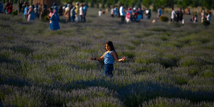 Karatay Lavanta Bahçesi görsel şölen sunuyor