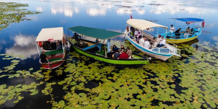 Beyşehir Gölü, nilüfer tarlası gibi oldu