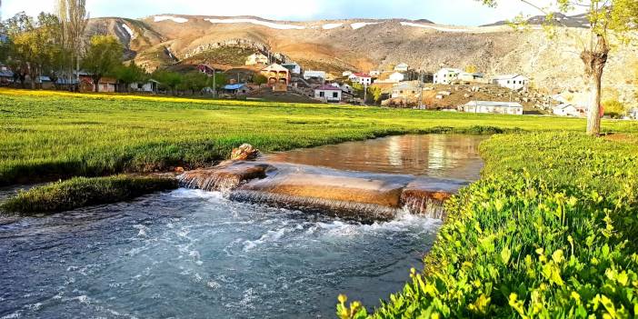 Konyalı doğaseverler dağ laleleri ve Eğrigölü görmek için 25 kilometre yürüdü