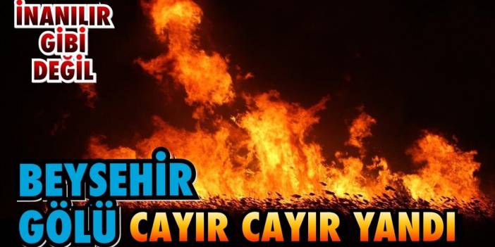 Korkutan görüntü Konya Beyşehir Gölünden!