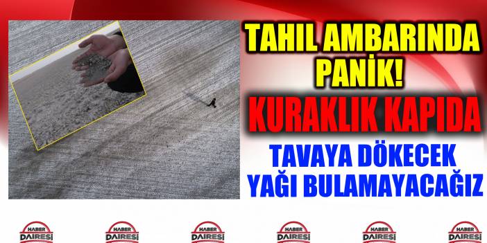Türkiye'nin tahıl ambarı Konya'da kuraklık paniği!