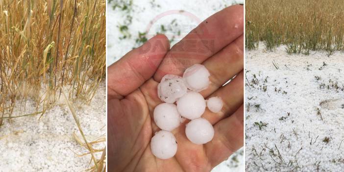 Konya'nın bir bölgesini daha dolu vurdu! Ekili arazilerde zarar büyük