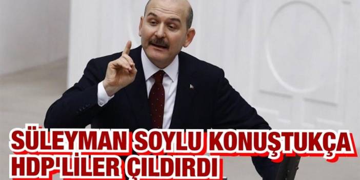 İçişleri Bakanı Süleyman Soylu TBMM’de terör operasyonlarını anlattı, HDP'liler çıldırdı!