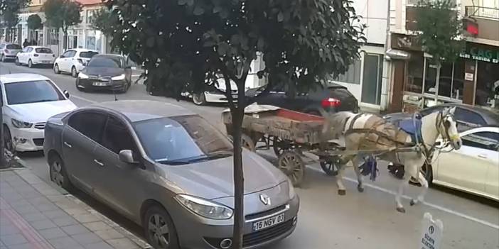 Trafikteki sürücüsüz at arabası ilginç görüntü oluşturdu