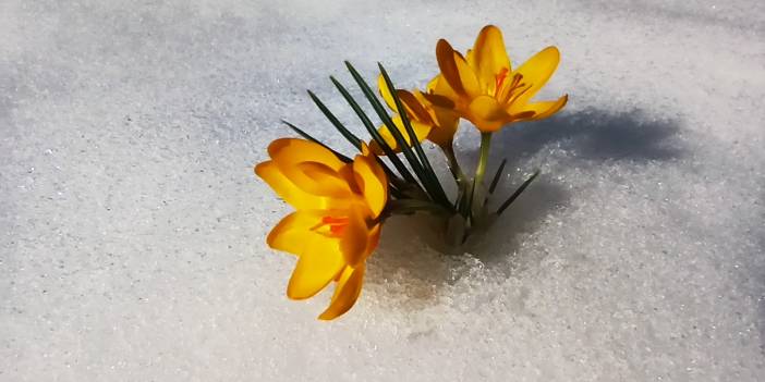 Toroslarda yaylalar fotoğraf tutkunlarının gözdesi