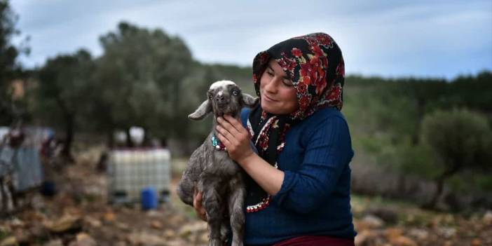 'Sarıkeçili Yörükler'in oğlak besleme telaşı başladı