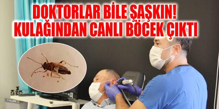 Doktorlar bile şaşkın! Kulağından canlı böcek çıkartıldı