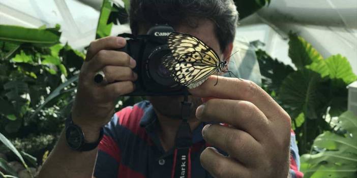 'Fotoğraf stüdyosu' gibi kelebek bahçesi