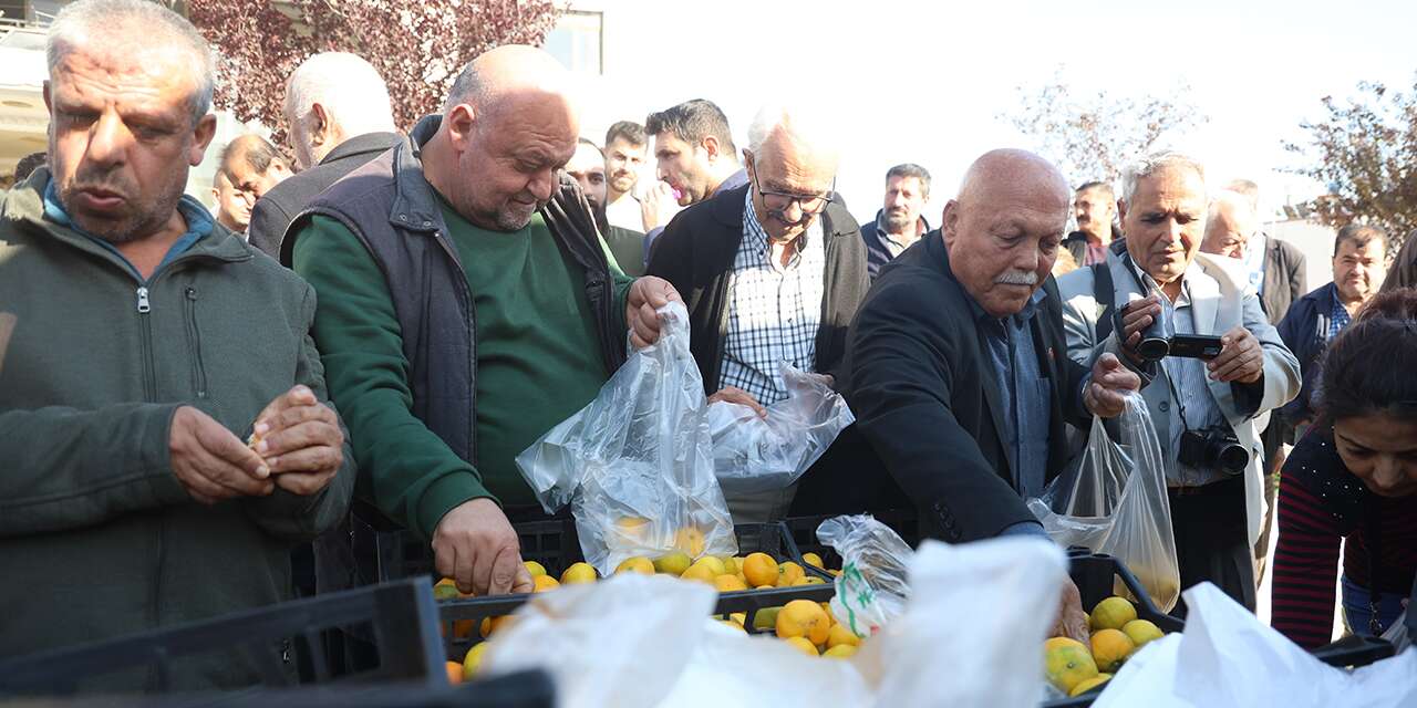 Markette 30, tarlada 2 lira! Tonlarca ürünü ücretsiz dağıttılar