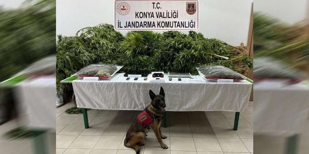 Konya’da çiftliğinde Hint keneviri bulunan avukat için karar çıktı