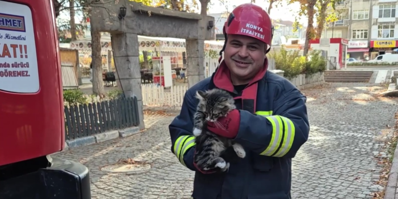 Konya’da mahsur kalan kedi kurtarıldı! Kurtarılma anı kameralarda