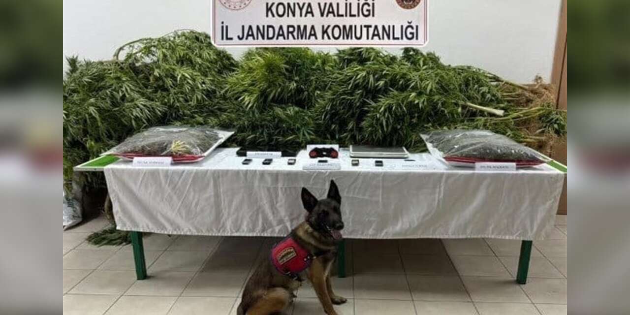 Konya’da uyuşturucu bulunan çiftliğin sahibi avukat beraat etti, kiracı ceza aldı