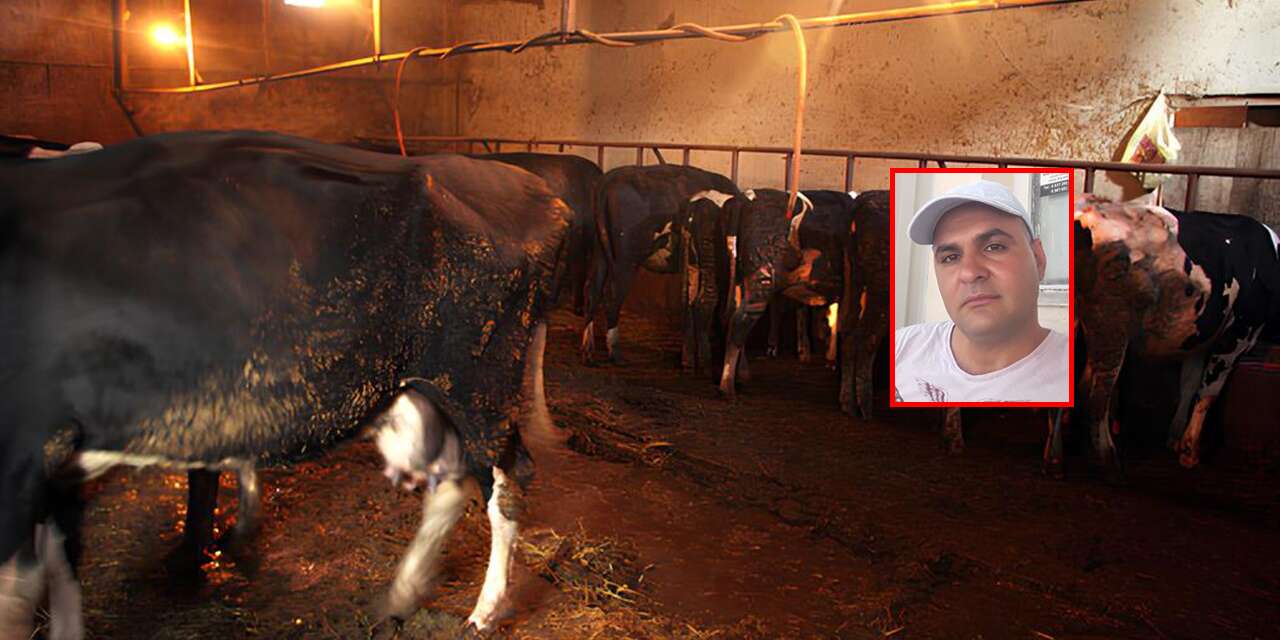 Dana saldırısına uğrayan besici, hayatını kaybetti