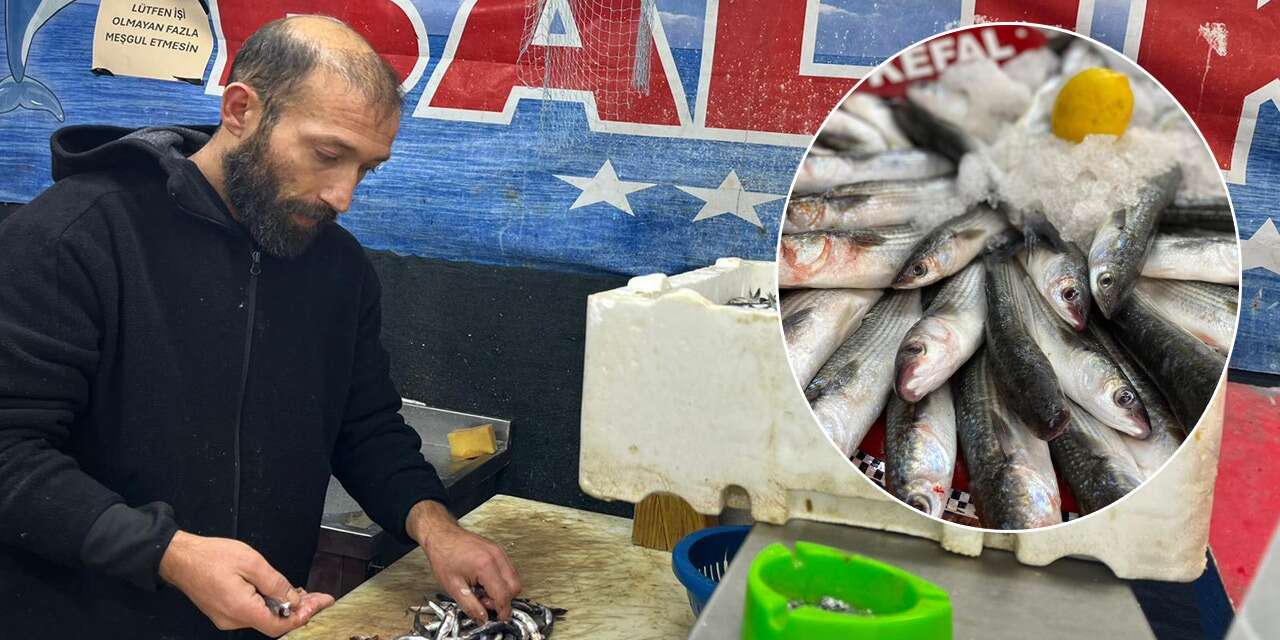 Konya’da uzmanı taze balık seçmenin yollarını anlattı