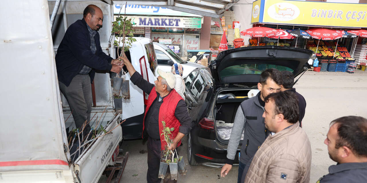 Konya çiftçisi, çok kazandıracak ürünü ekecek! 4 bin fidan dağıtıldı