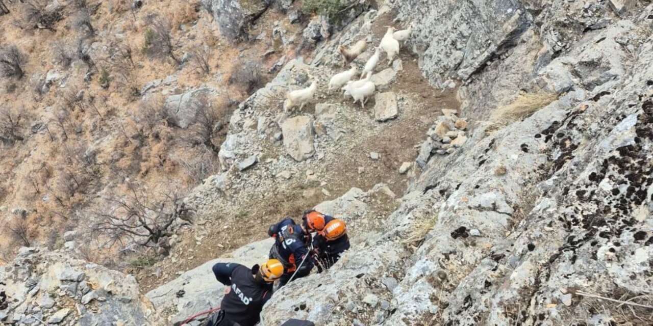 Konya’da ekipler mahsur kalan 8 keçi için seferber oldu