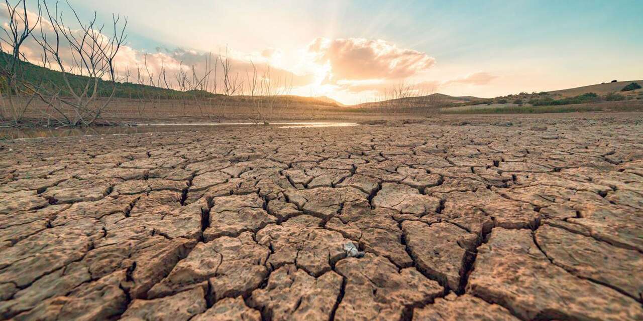 Türkiye erozyonla toprak kaybediyor