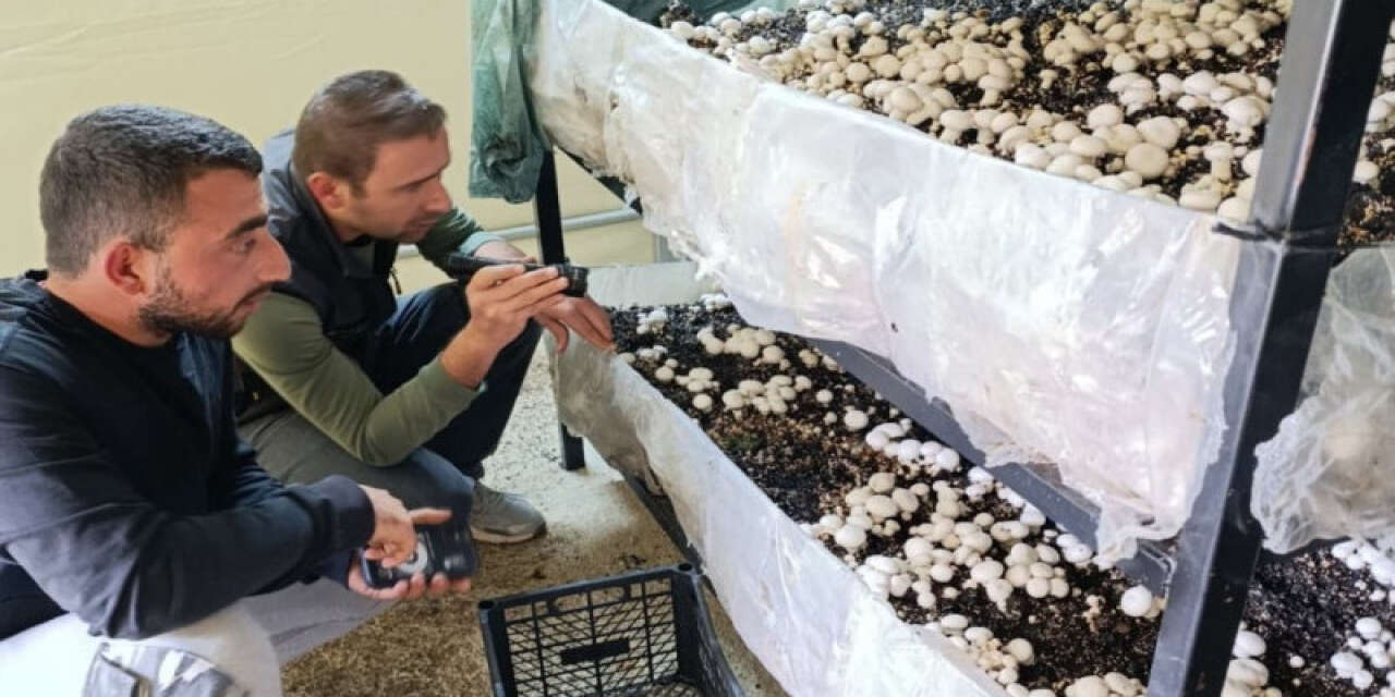 Konya’da üreticiye yeni gelir kapısı açıldı! Bir ilçe oldukça iddialı