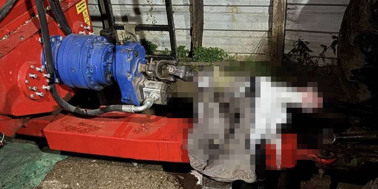 10 yaşındaki Miraç'ın acı ölümü! Kolunu silaj makinesine kaptırdı