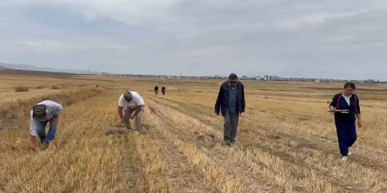 Konya ve Amasya arasındaki bin yıllık sır perdesi aralanıyor